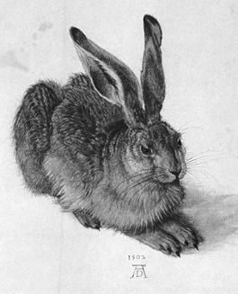 Петр Люкимсон - Еврейская диетология, или Расшифрованный кашрут