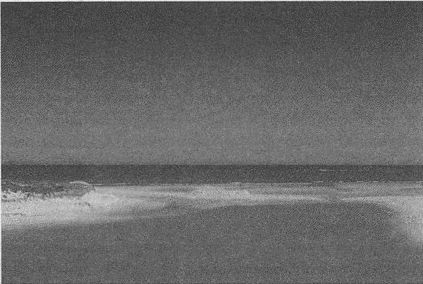 Дэвид Бирн - Весь мир: Записки велосипедиста