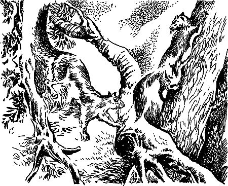 Димитр Ангелов, Йозеф Аугуста и др. - Исчезнувший мир