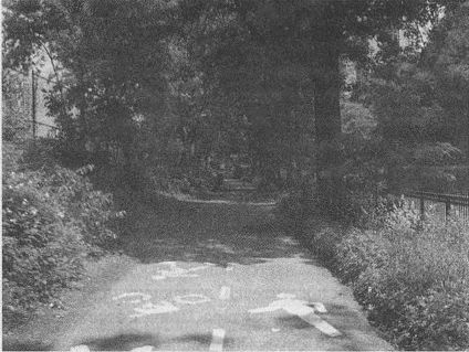 Дэвид Бирн - Весь мир: Записки велосипедиста