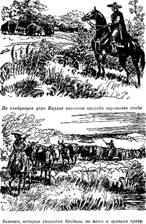 Томас Рид - Собрание сочинений, том 1. Белый вождь. Квартеронка