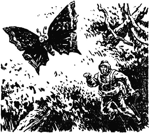 Борис Ляпунов - По следам Жюля Верна