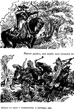 Томас Рид - Собрание сочинений, том 1. Белый вождь. Квартеронка
