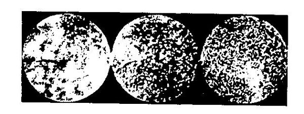 Альберт Эйнштейн, Леопольд Инфельд - Эволюция физики