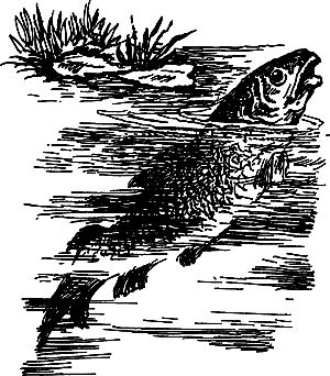 Димитр Ангелов, Йозеф Аугуста и др. - Исчезнувший мир