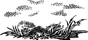 Исчезнувший мир