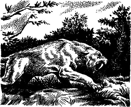 Димитр Ангелов, Йозеф Аугуста и др. - Исчезнувший мир