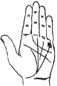 Теодор Шварц - Большая книга тайных знаний. Нумерология. Графология....