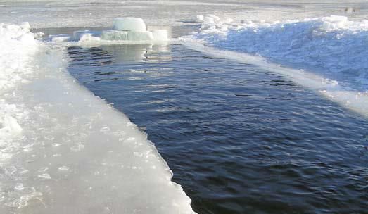 Андрей Кашкаров - Дачная энциклопедия опытных советов