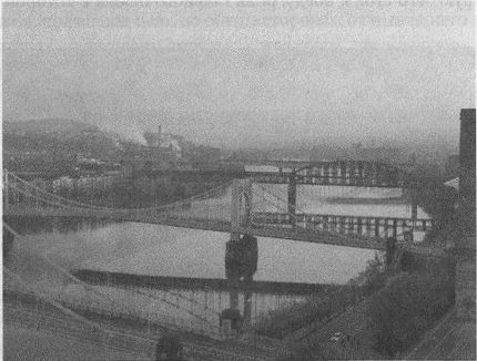 Дэвид Бирн - Весь мир: Записки велосипедиста