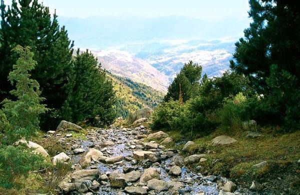 Анна Фельтина - Все об Испании