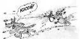 Не служил бы я на флоте... II (сборник)