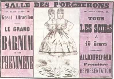 Домини Жандо - История мирового цирка