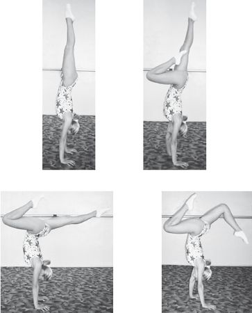 Инесса Шипилина, Игорь Самохин - Фитнес-спорт: учебник для студентов