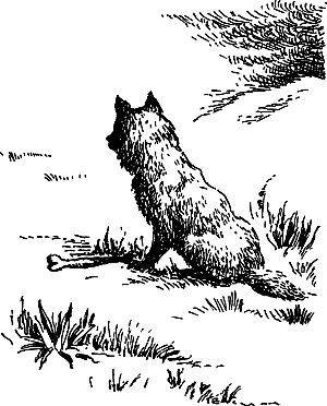 Димитр Ангелов, Йозеф Аугуста и др. - Исчезнувший мир