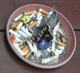 Андрей Кашкаров - Дачная энциклопедия опытных советов