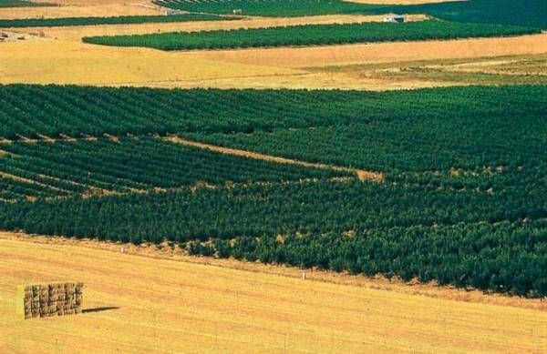 Анна Фельтина - Все об Испании