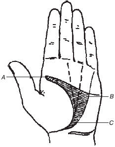 Теодор Шварц - Большая книга тайных знаний. Нумерология. Графология....
