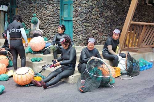 Андрей Кощиенко - Файтин! [с иллюстрациями]