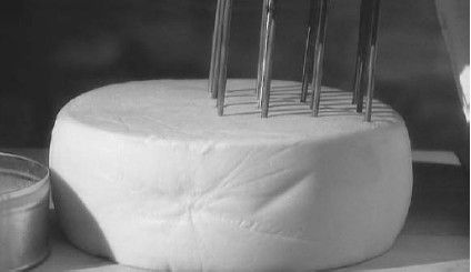 Леонид Рудницкий - Плесень - лекарство или яд?