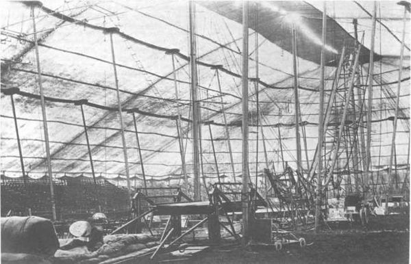 Домини Жандо - История мирового цирка