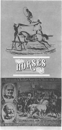 Домини Жандо - История мирового цирка