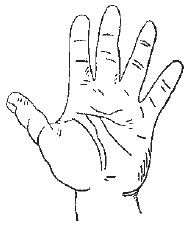 Теодор Шварц - Большая книга тайных знаний. Нумерология. Графология....