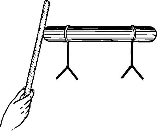 Альберт Эйнштейн, Леопольд Инфельд - Эволюция физики