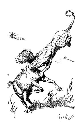 Димитр Ангелов, Йозеф Аугуста и др. - Исчезнувший мир