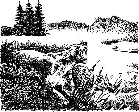 Димитр Ангелов, Йозеф Аугуста и др. - Исчезнувший мир