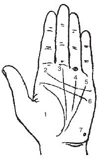 Теодор Шварц - Большая книга тайных знаний. Нумерология. Графология....