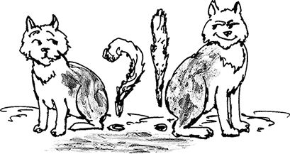 Михаил Задорнов - Записки из Твиттера