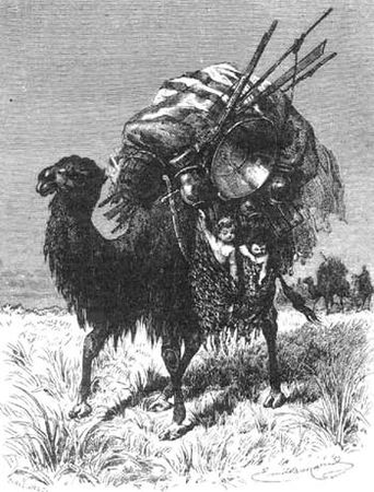 Петр Люкимсон - Еврейская диетология, или Расшифрованный кашрут