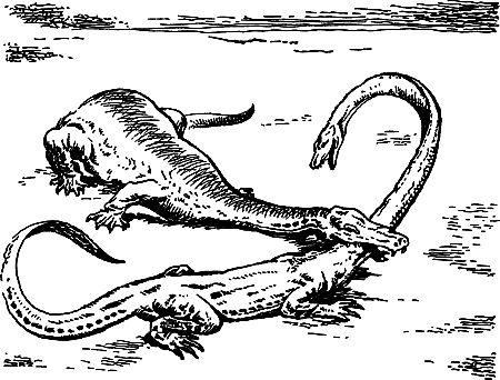 Димитр Ангелов, Йозеф Аугуста и др. - Исчезнувший мир