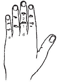 Теодор Шварц - Большая книга тайных знаний. Нумерология. Графология....