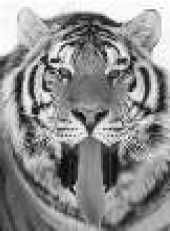 Владимир Бойко - Не служил бы я на флоте... II (сборник)