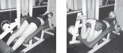 Инесса Шипилина, Игорь Самохин - Фитнес-спорт: учебник для студентов