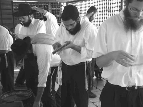 Петр Люкимсон - Еврейская диетология, или Расшифрованный кашрут