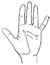 Теодор Шварц - Большая книга тайных знаний. Нумерология. Графология....