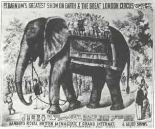 Домини Жандо - История мирового цирка