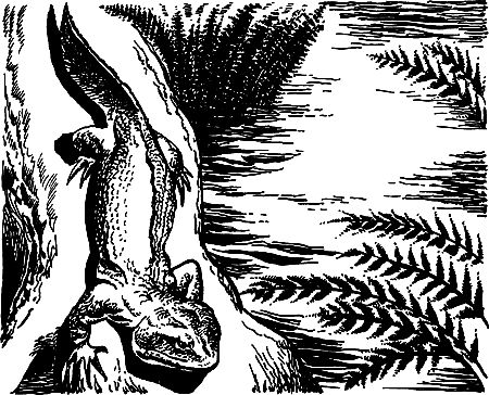 Димитр Ангелов, Йозеф Аугуста и др. - Исчезнувший мир