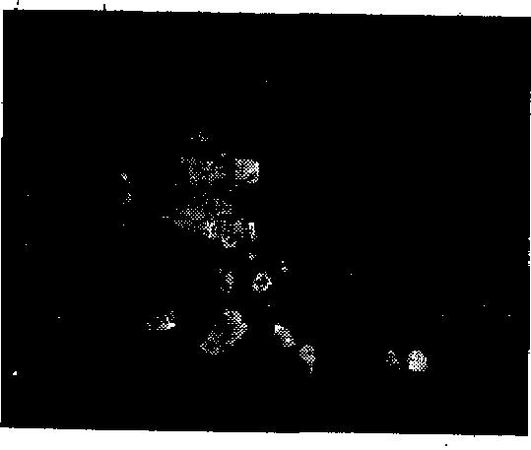 Альберт Эйнштейн, Леопольд Инфельд - Эволюция физики