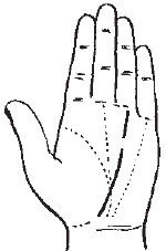 Теодор Шварц - Большая книга тайных знаний. Нумерология. Графология....