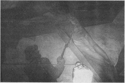 Дэвид Бирн - Весь мир: Записки велосипедиста