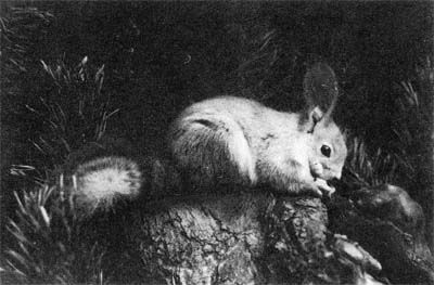 Сборник - Природа донского края