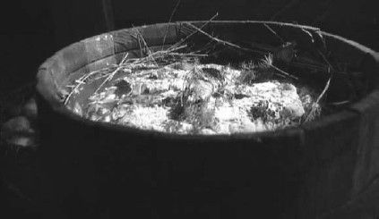 Леонид Рудницкий - Плесень - лекарство или яд?