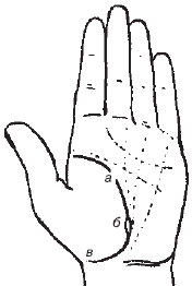 Теодор Шварц - Большая книга тайных знаний. Нумерология. Графология....