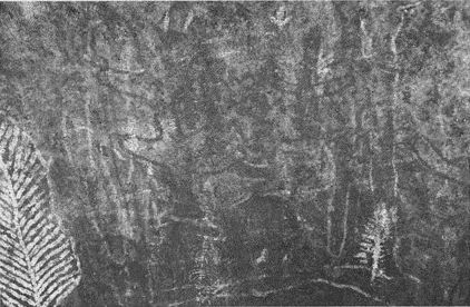 Дэвид Бирн - Весь мир: Записки велосипедиста