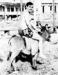 Владимир Бойко - Не служил бы я на флоте... II (сборник)