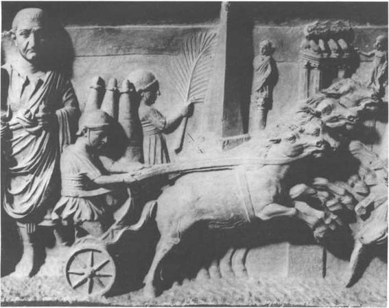 Домини Жандо - История мирового цирка